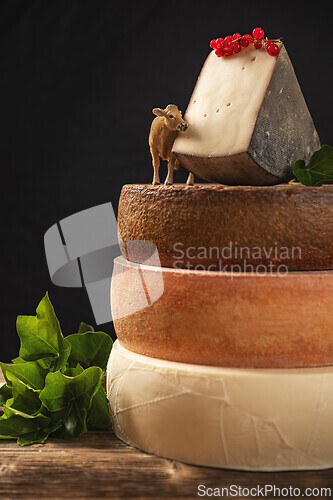 Image of Different cheese wheel
