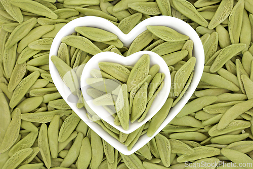 Image of Italian Foglie D'Ulivo Dried Green Leaf Pasta