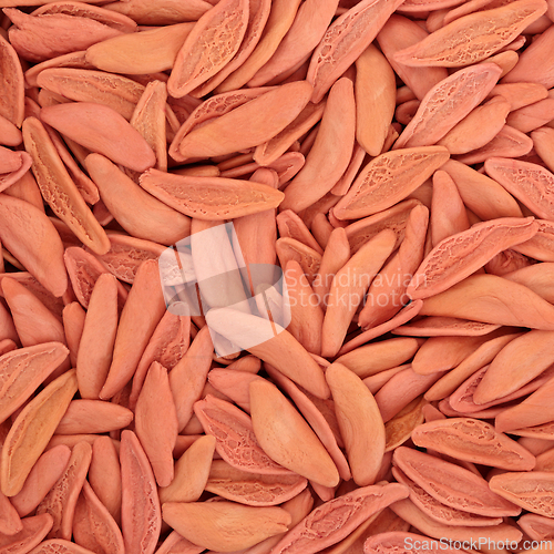 Image of Foglie D'Ulivo Italian Dried Red Leaf Pasta 