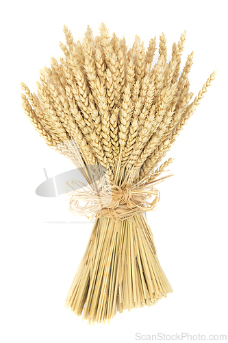 Image of Wheat Bundle Decorative Sheath Agricultural Produce