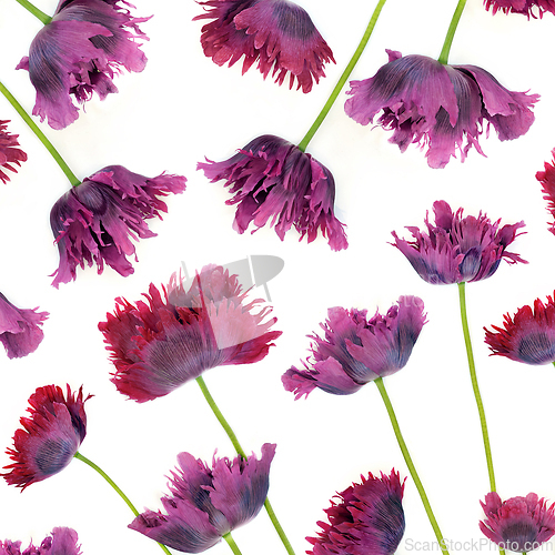 Image of Abstract Oriental Purple Poppy Background Pattern