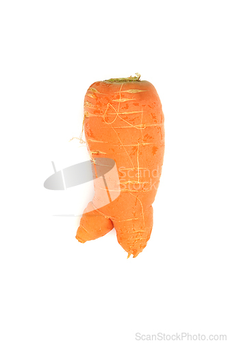 Image of Forked Carrot Root Vegetable Organic Produce
