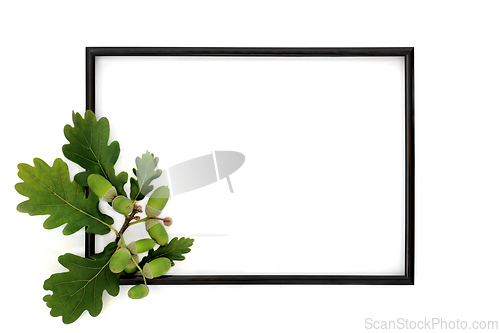 Image of Green Oak Leaves and Acorn Nuts Background Border Frame