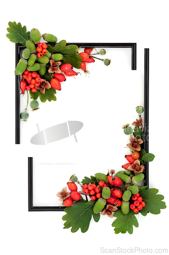 Image of Autumn Fall Colorful Vivid Nature Background Border Frame