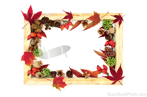 Image of Autumn Fall Leaves Nuts Berry Fruit Background Frame Design