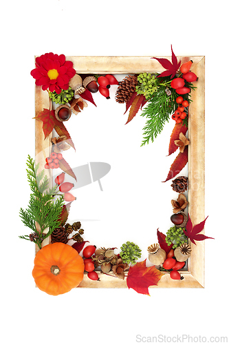 Image of Harvest Festival Autumn Fall Background Frame 