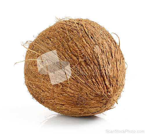 Image of fresh coconut fruit