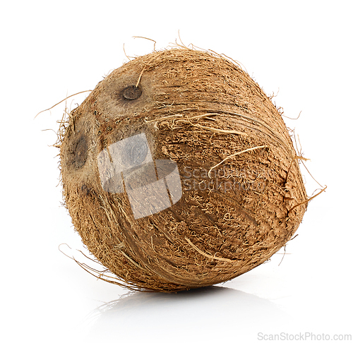 Image of fresh ripe coconut fruit