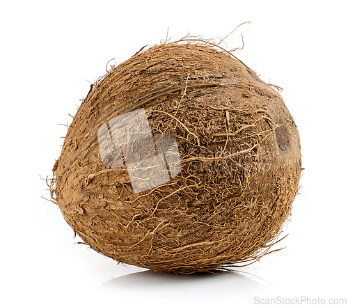 Image of fresh ripe whole coconut fruit 