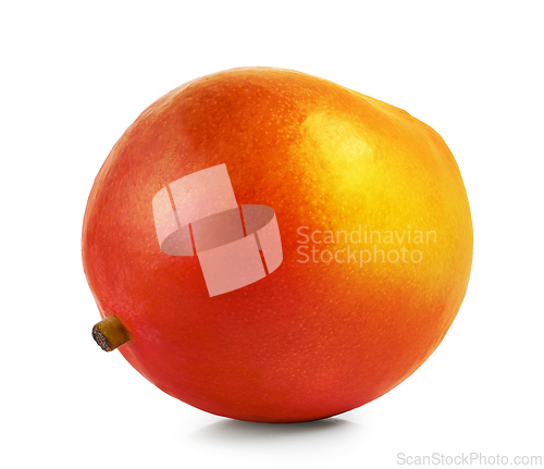 Image of fresh ripe mango