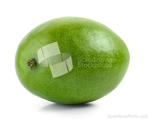 Image of fresh green mango