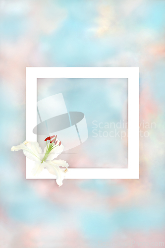 Image of White Lily Flower Sky Cloud Background Border