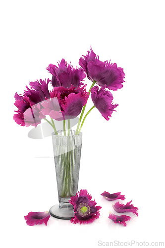 Image of Summer Purple Oriental Poppy Flower Arrangement 