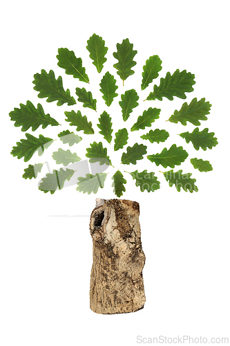 Image of Oak Tree Abstract Save the Trees Environmental Symbol