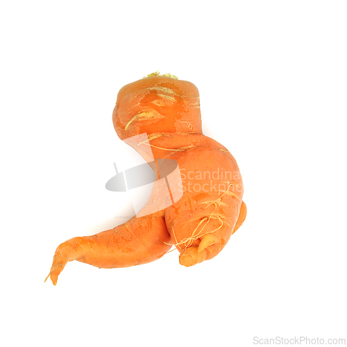 Image of Twisted Carrot Root Vegetable Produce