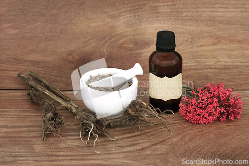 Image of Preparing Valerian Herb Root for Natural Medicine
