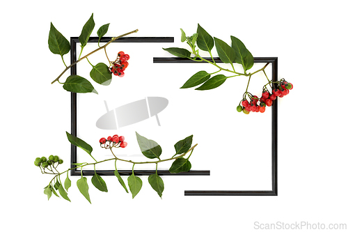 Image of Deadly Nightshade Atropa Belladonna Abstract Frame