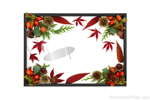 Image of Autumn Fall Harvest Festival Background Border Frame