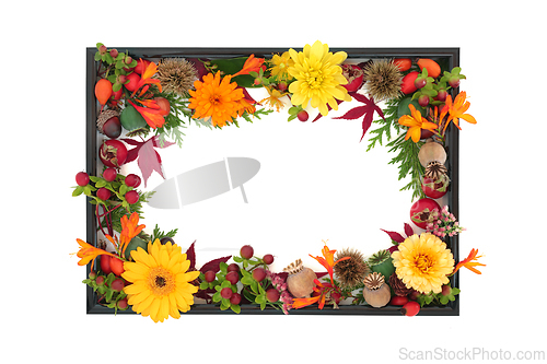 Image of Autumn Fall Vivid Nature Background Border Frame