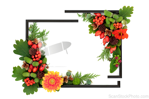 Image of Autumn Fall Abstract Nature Background Border Frame