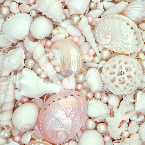 Image of White and Pink Seashells and Pearls Decorative Background