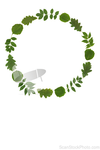 Image of Oak Ash Hazel Leaf Green Wreath Druid Symbol
