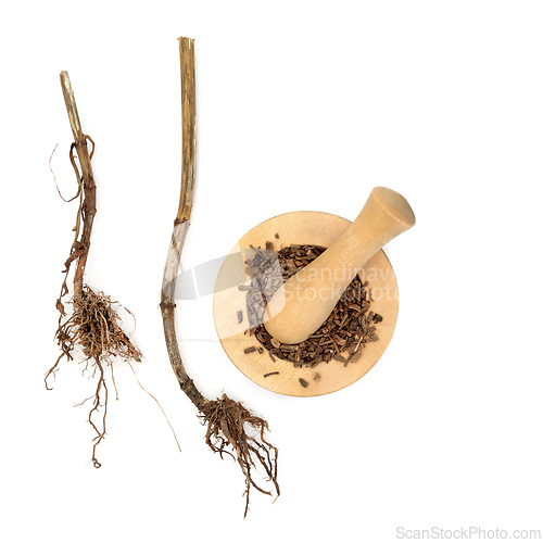 Image of Valerain Herb Root for Stress and Anxiety Relief