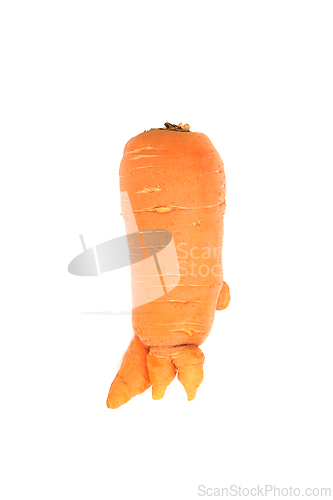 Image of Forked Carrot Root Vegetable 