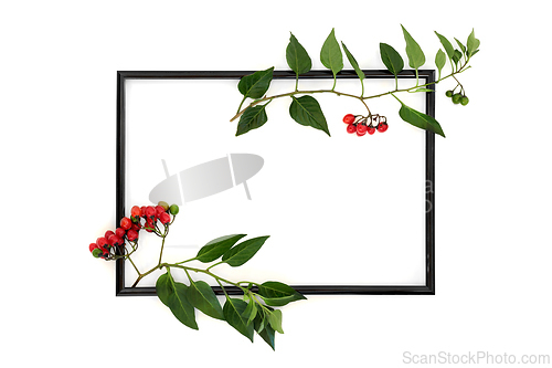Image of Deadly Nightshade Atropa Belladonna Background Frame