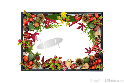 Image of Autumn Fall Nature Harvest Background Border Frame
