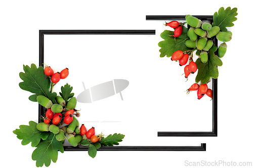 Image of Autumn Abstract Oak Leaf and Rose Hip Background Border Frame