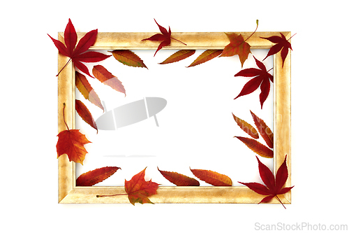 Image of Autumn Maple Sycamore Leaves Background Frame Design 