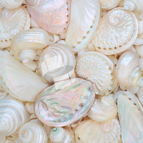 Image of Beautiful Mother of Pearl Seashell Background 