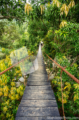 Image of Wooden bridge pathway over wild river. Tayrona, Colombia wilderness landscape.
