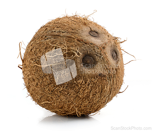 Image of fresh ripe whole coconut fruit 