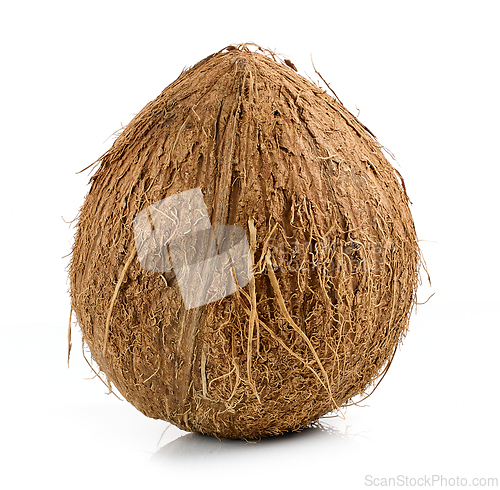 Image of fresh ripe whole coconut fruit 