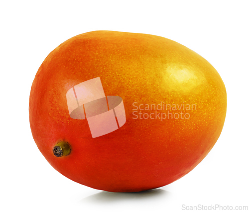 Image of fresh ripe mango