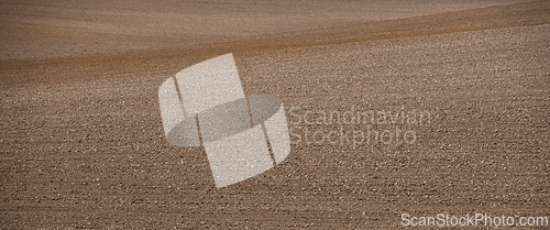 Image of Brown soil in a field in spring