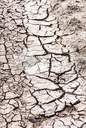 Image of Dry, cracked soil, ground. 