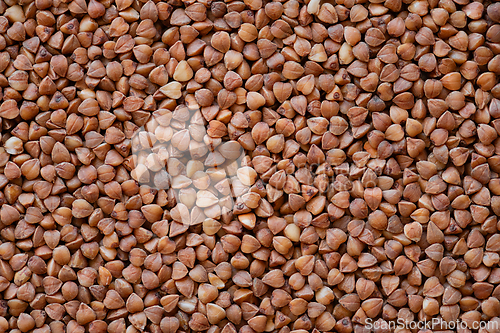 Image of Buckwheat texture