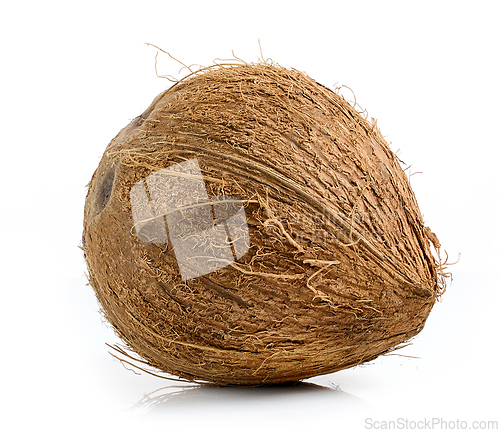 Image of fresh ripe whole coconut fruit 
