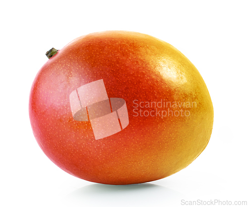 Image of fresh ripe mango fruit