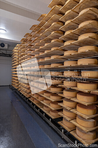 Image of Rows of cheese aging in a cellar