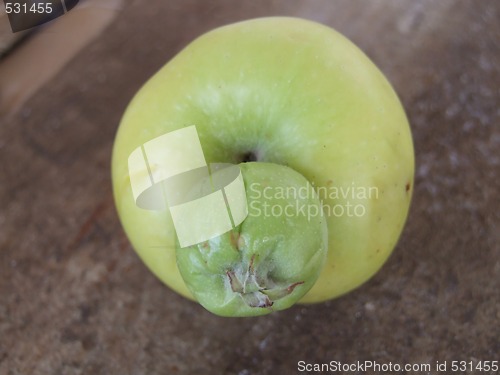 Image of mutant apple