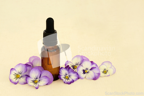 Image of Purple Pansy Flower Natural Herbal Medicine Essence
