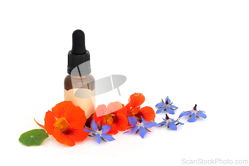 Image of Borage and Nasturtium Herb Flower Essence Herbal Medicine