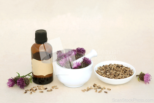Image of Milk Thistle Herbal Medicine for Liver Support and Treatment