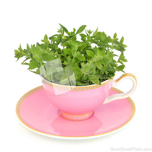 Image of Lemon Balm Tea Abstract with Pink Teacup and Fresh Leaves