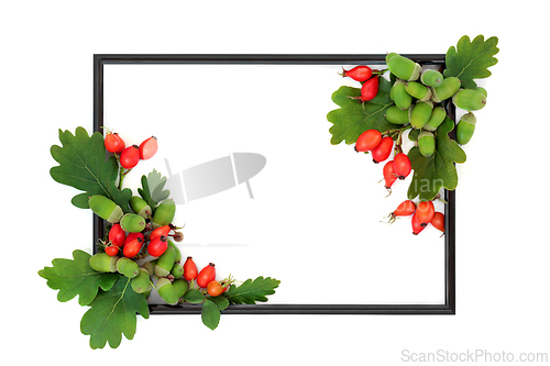 Image of  Autumn Oak Leaves and Red Rosehip Fruit Background Border Frame