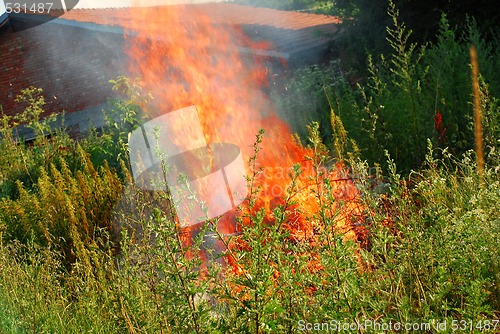 Image of Fire in green grass